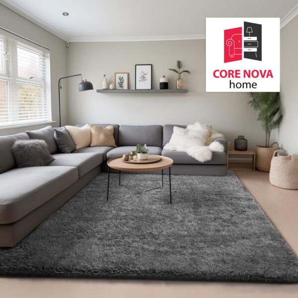 6x9 Rug for Living Room
